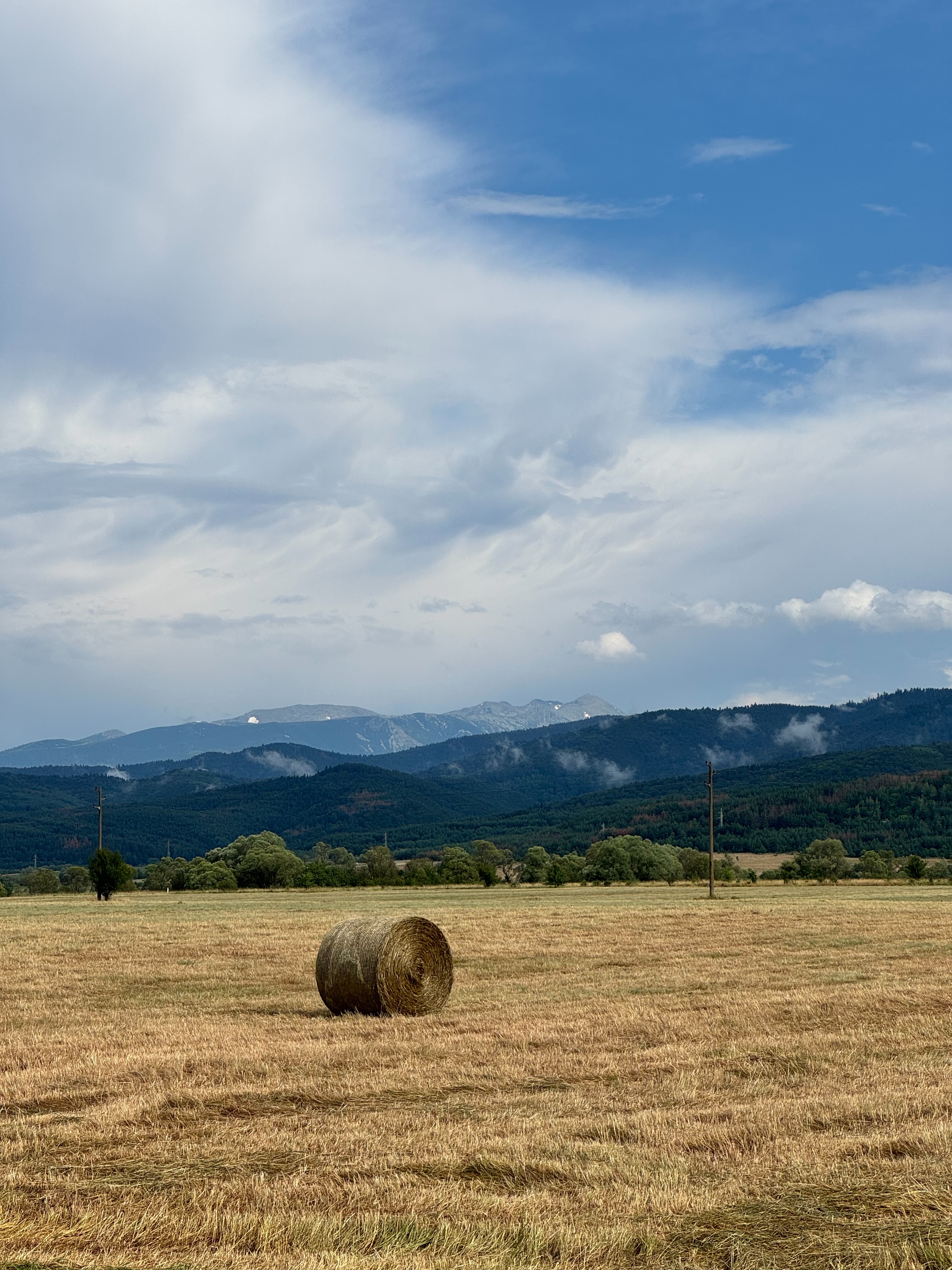 Pirin Mountain Nature Discovery