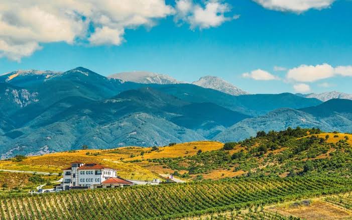 Starosel Wine & Spa Retreat