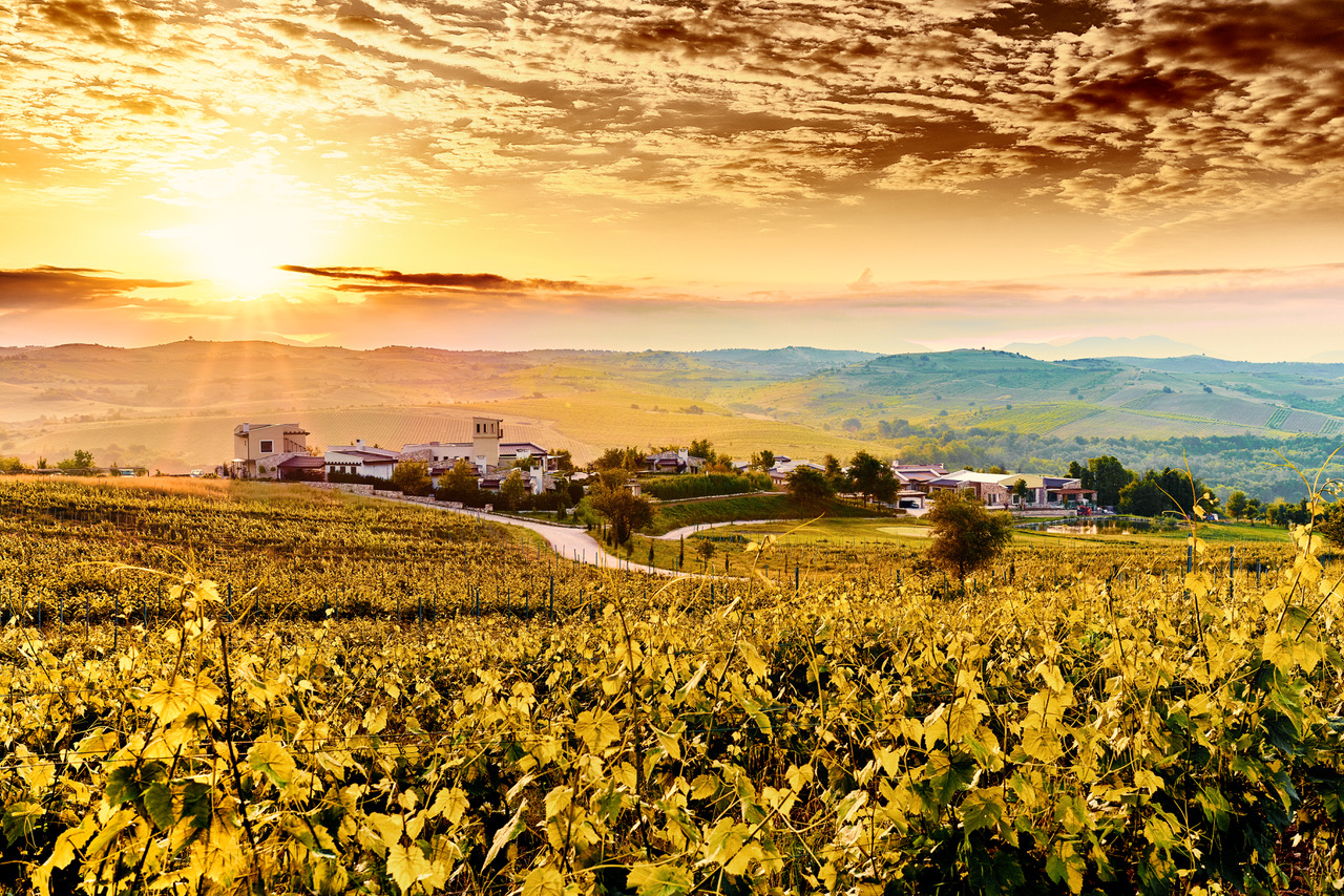 Melnik Wine Route