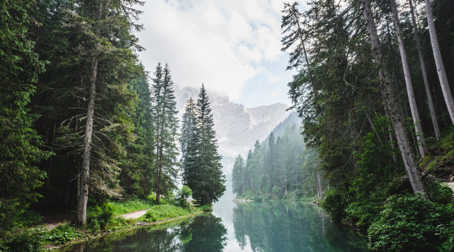 luca-bravo-134776-unsplash