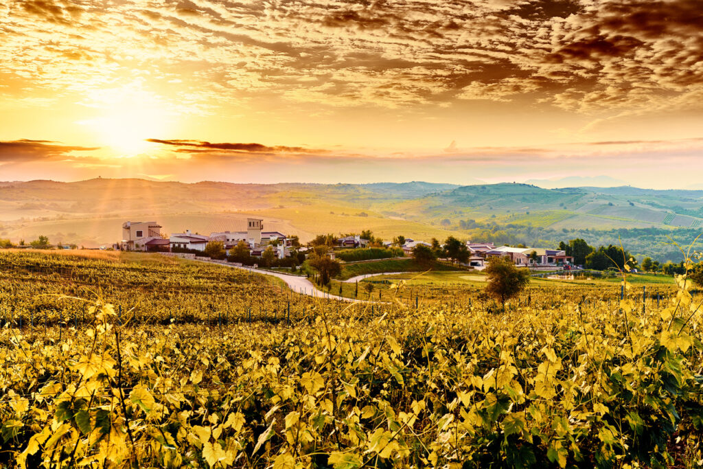 Melnik Wine Route