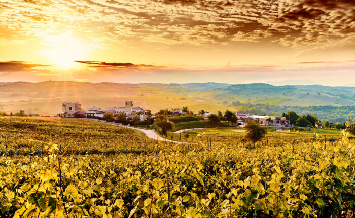 Melnik Wine Route