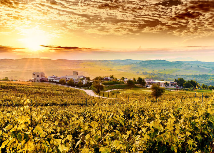 Melnik Wine Route